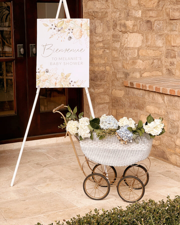 welcome sign and baby buggy with flowers in it.